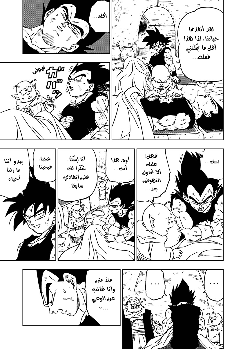 Read Dragon Ball Super AR Manga Online