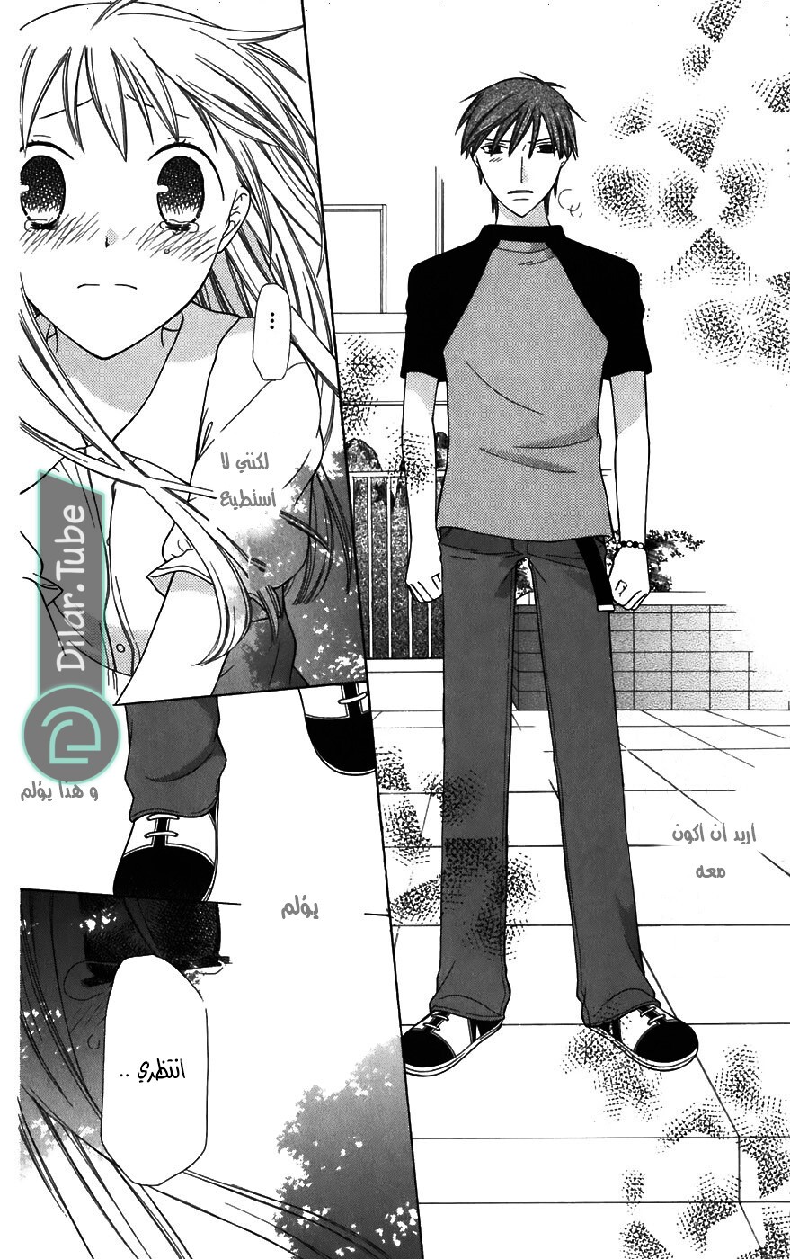 Read Fruits basket AR Manga Online