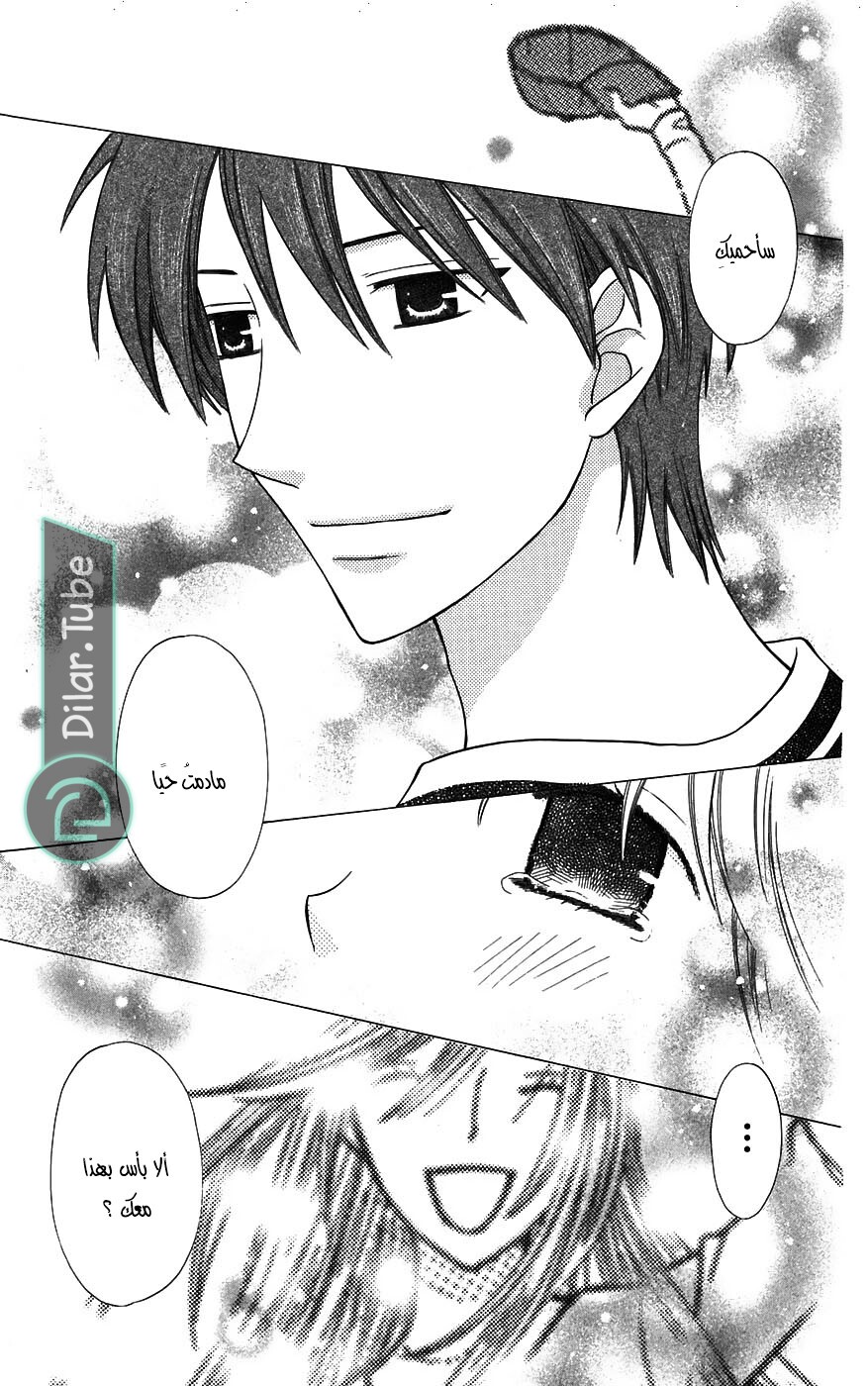 Read Fruits basket AR Manga Online