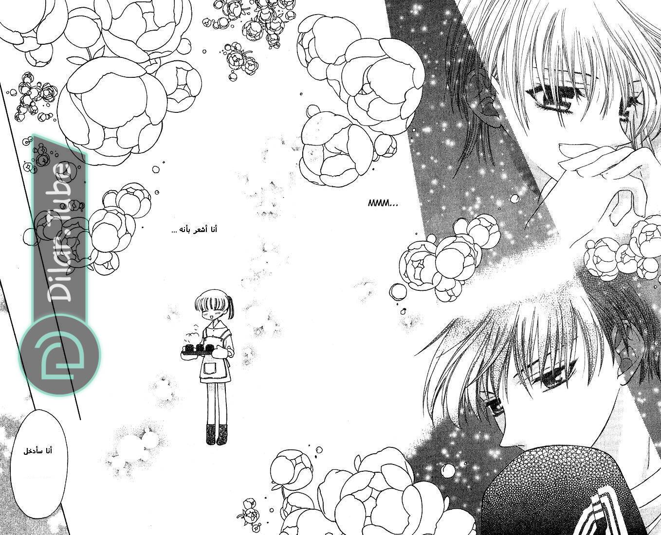 Read Fruits basket AR Manga Online