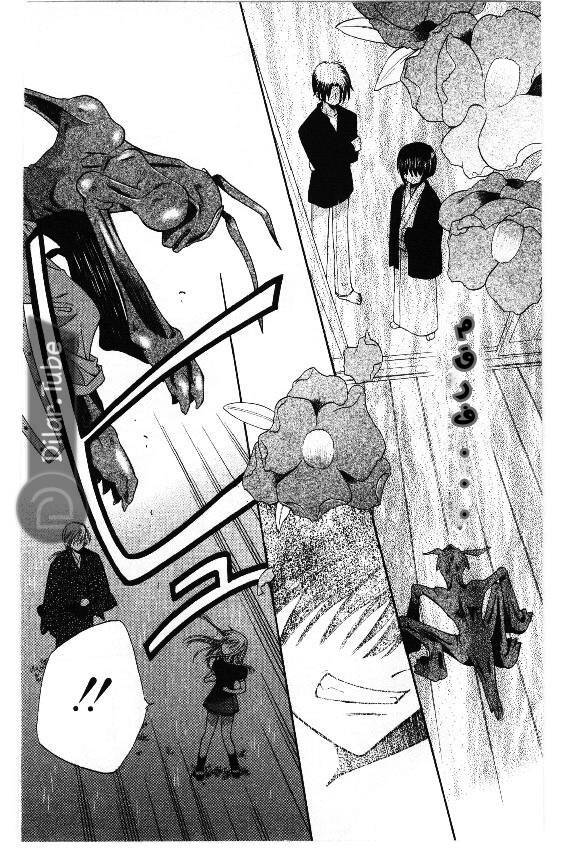 Read Fruits basket AR Manga Online