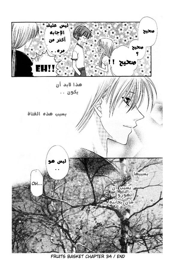 Read Fruits basket AR Manga Online