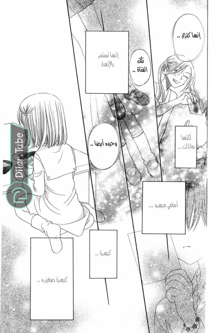 Read Fruits basket AR Manga Online