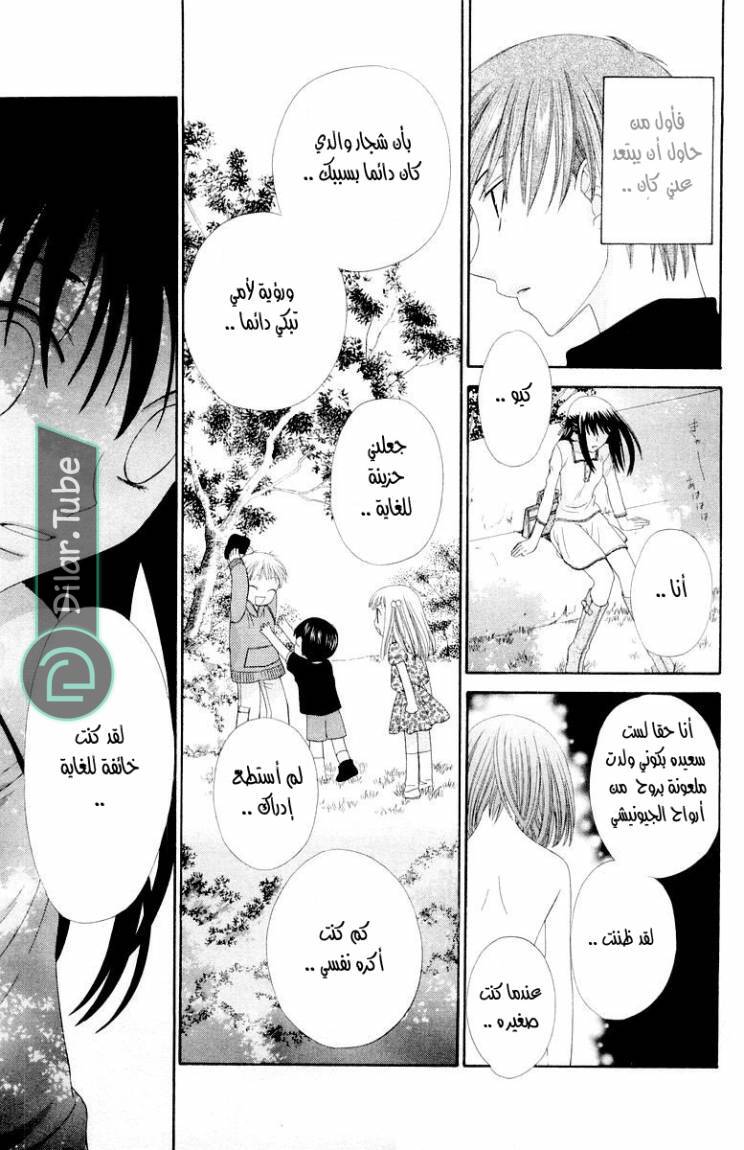 Read Fruits basket AR Manga Online