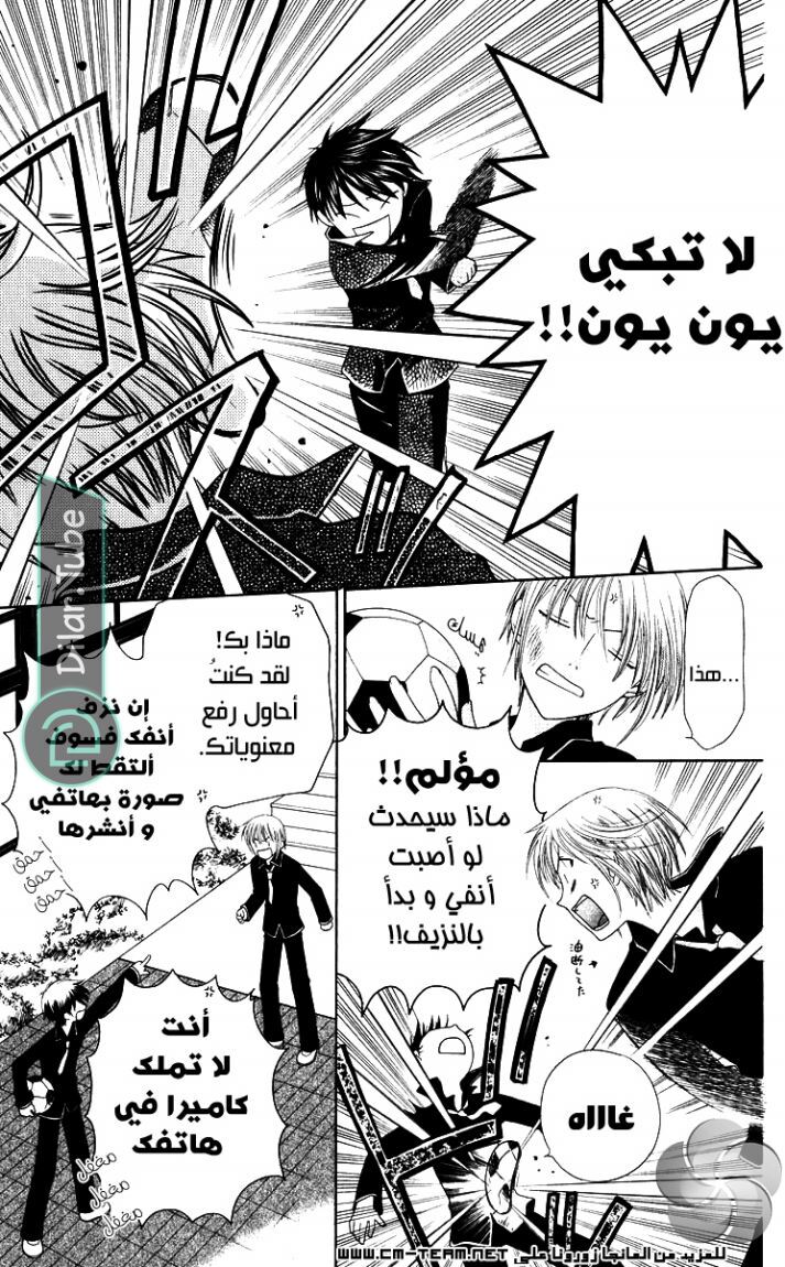 Read Fruits basket AR Manga Online