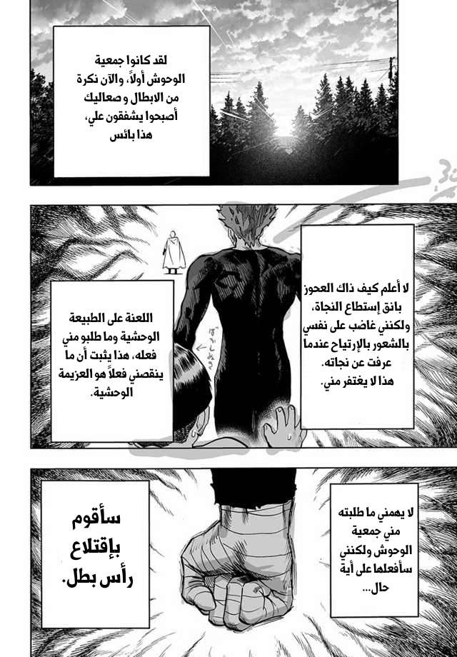 Read One Punch Man AR Manga Online