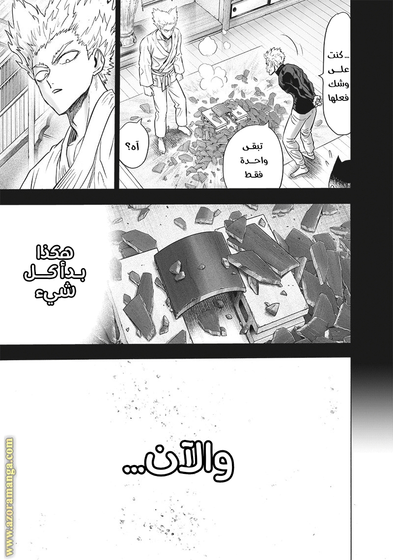 Read One Punch Man AR Manga Online