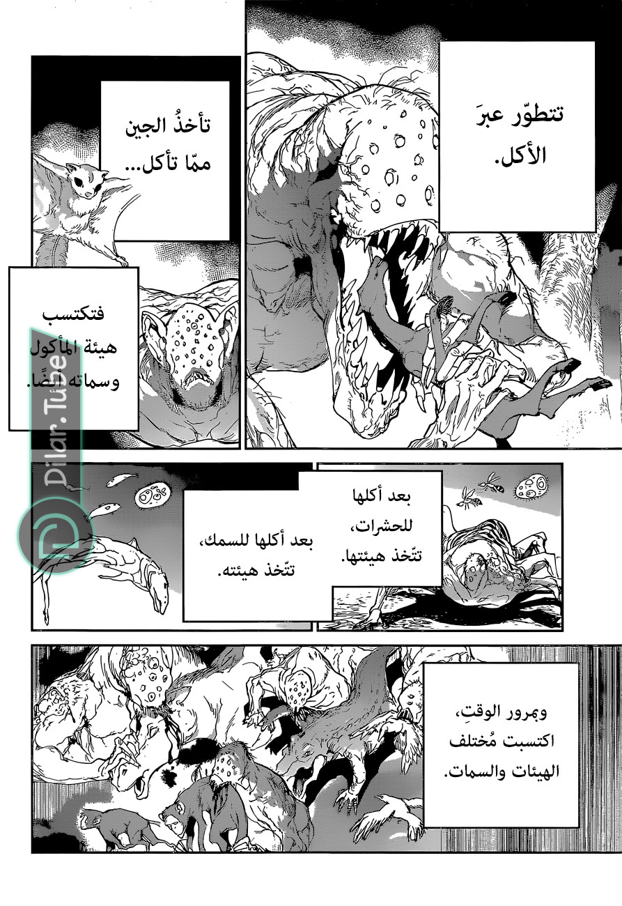 Read The Promised Neverland AR Manga Online