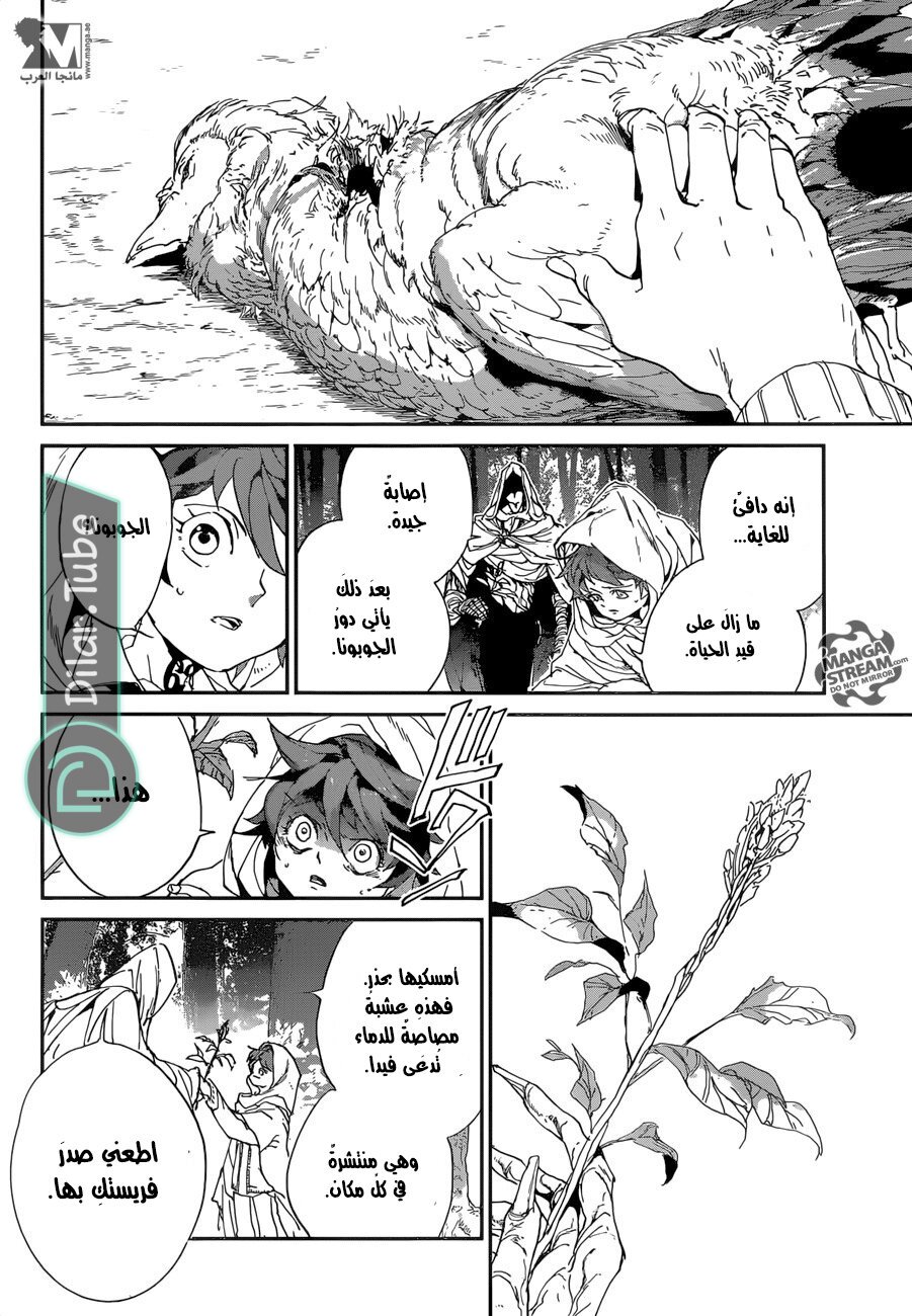 Read The Promised Neverland AR Manga Online