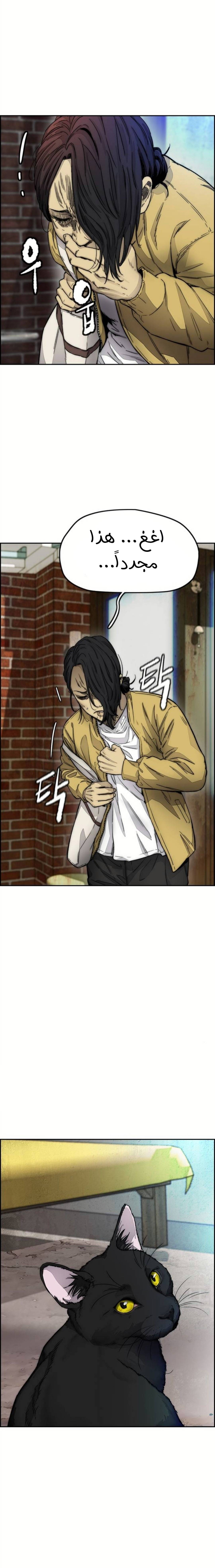 Read Wind Breaker AR Manga Online