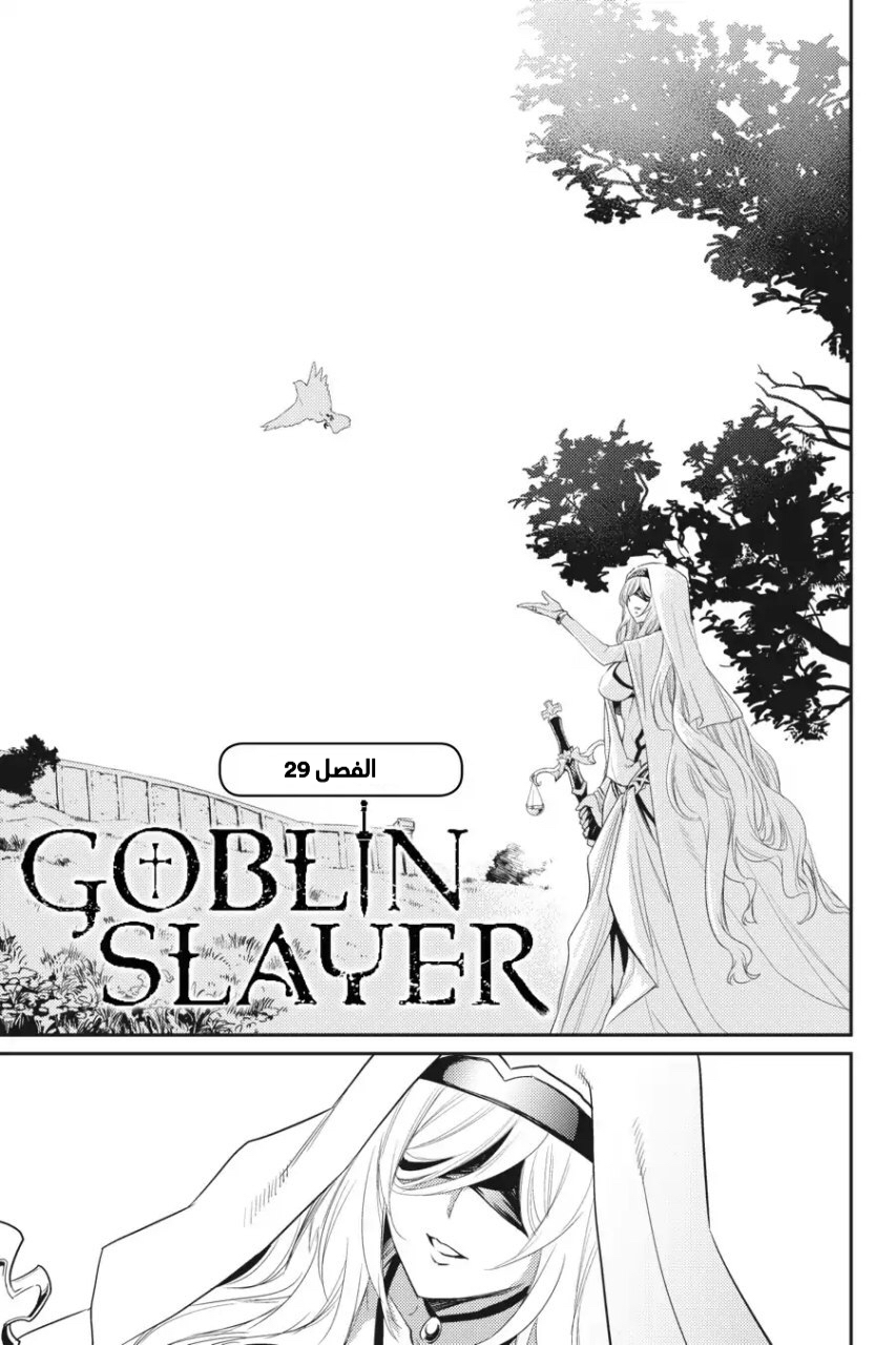 Read goblin slayer AR Manga Online