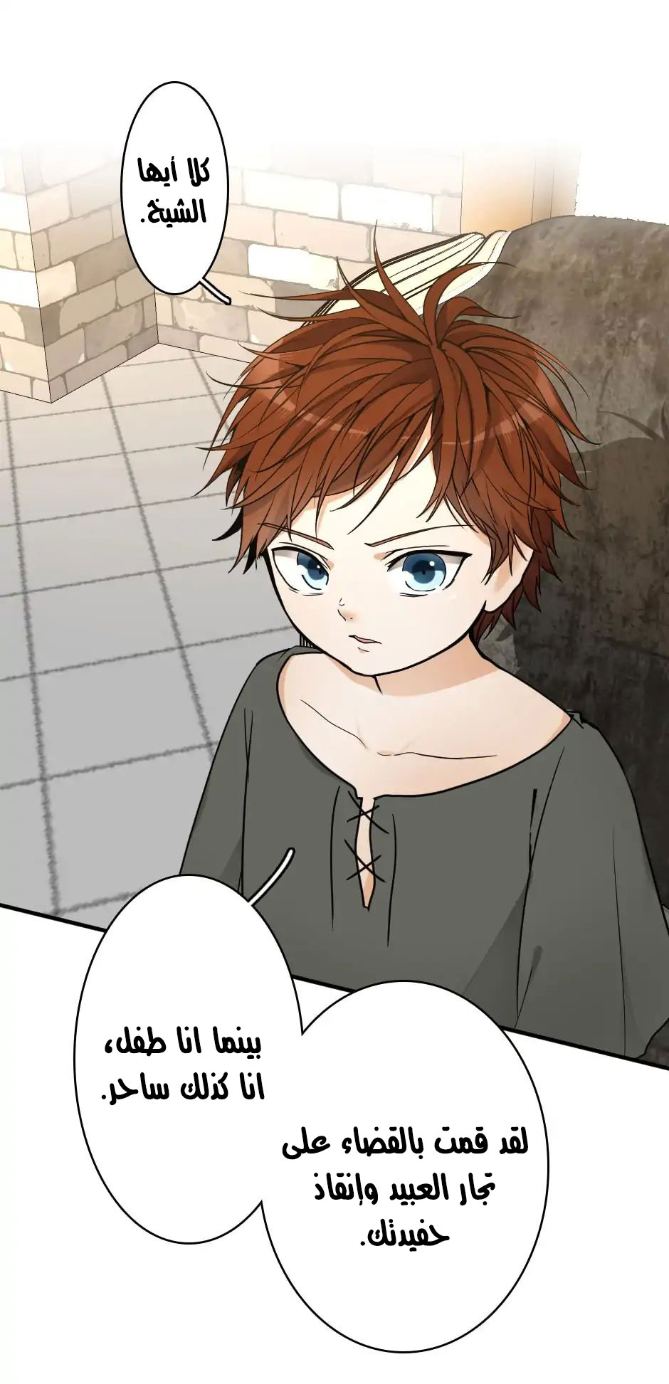 Read the beginning after the end AR Manga Online