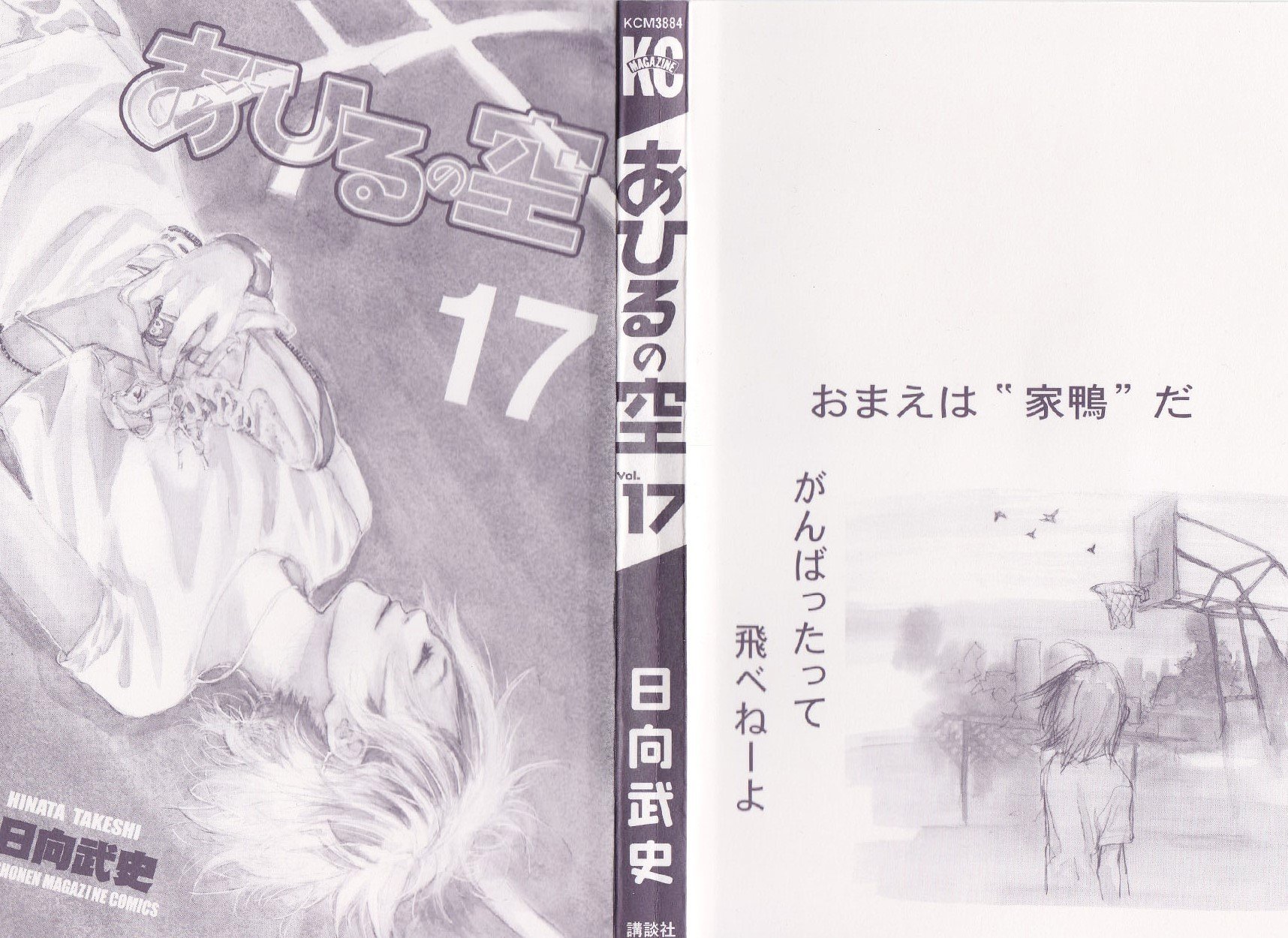 Read Ahiru no Sora en Manga Online