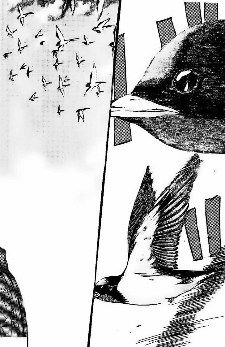 Read Ahiru no Sora en Manga Online