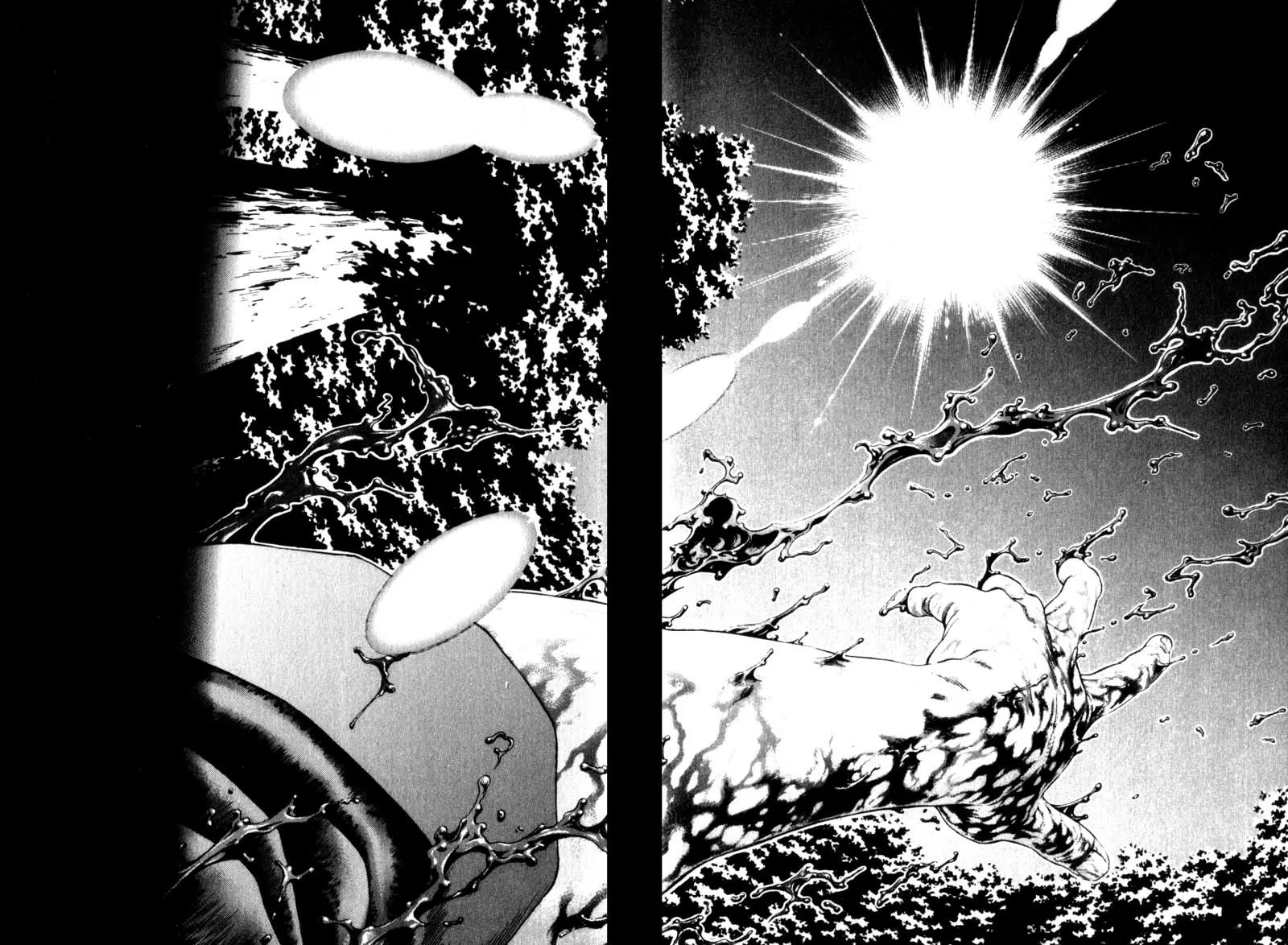 Read Battle Royale EN Manga Online