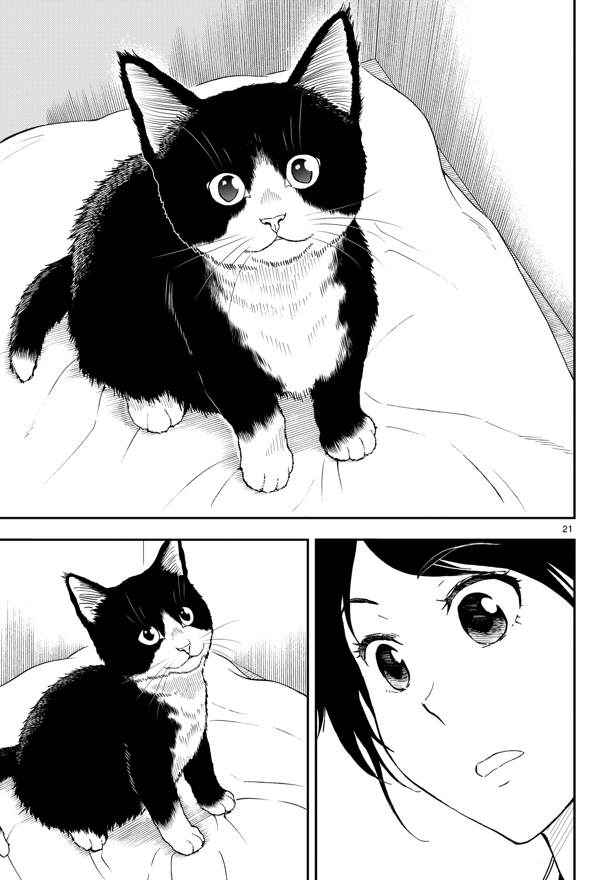 Read Cat + Gamer EN Manga Online