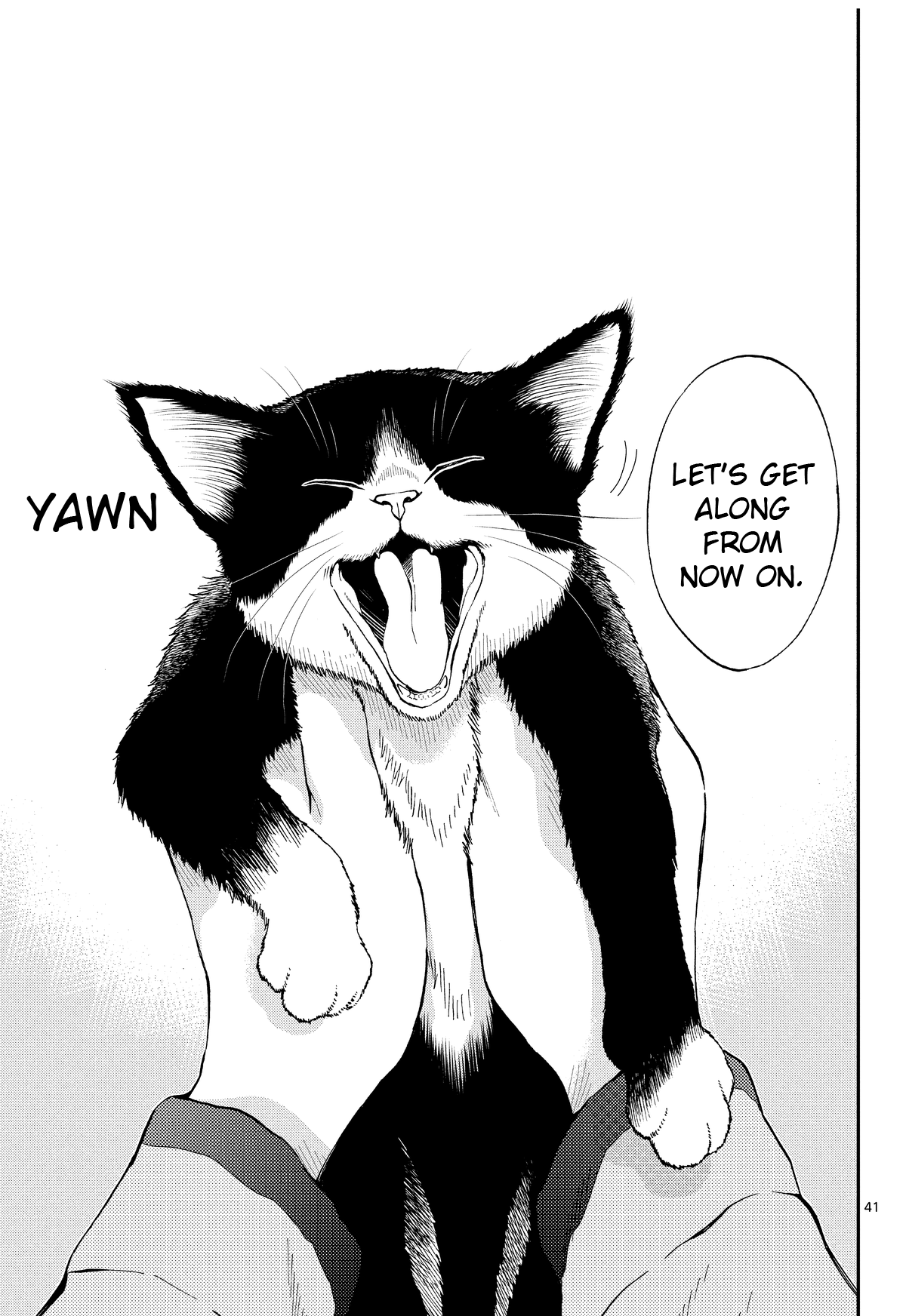 Read Cat + Gamer EN Manga Online