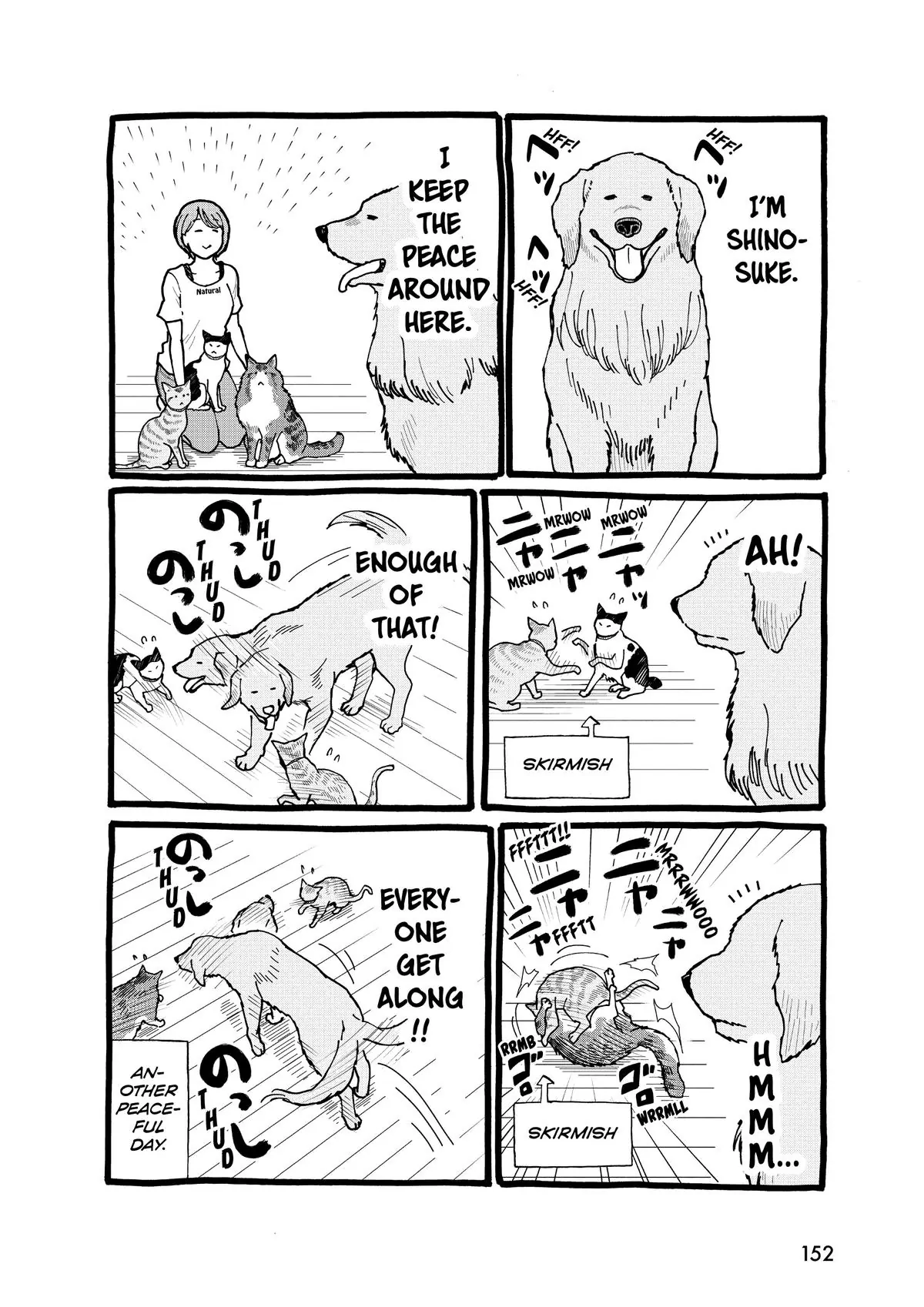 Read Cat + Gamer EN Manga Online