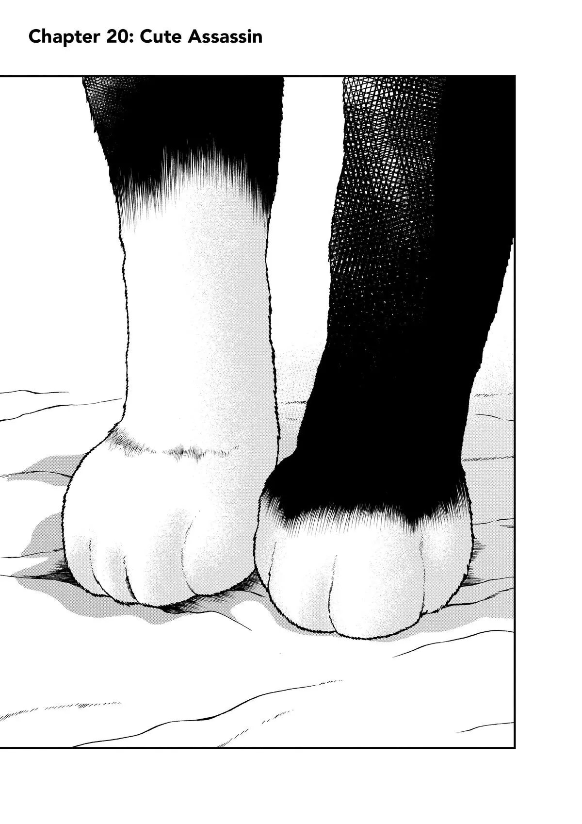 Read Cat + Gamer EN Manga Online