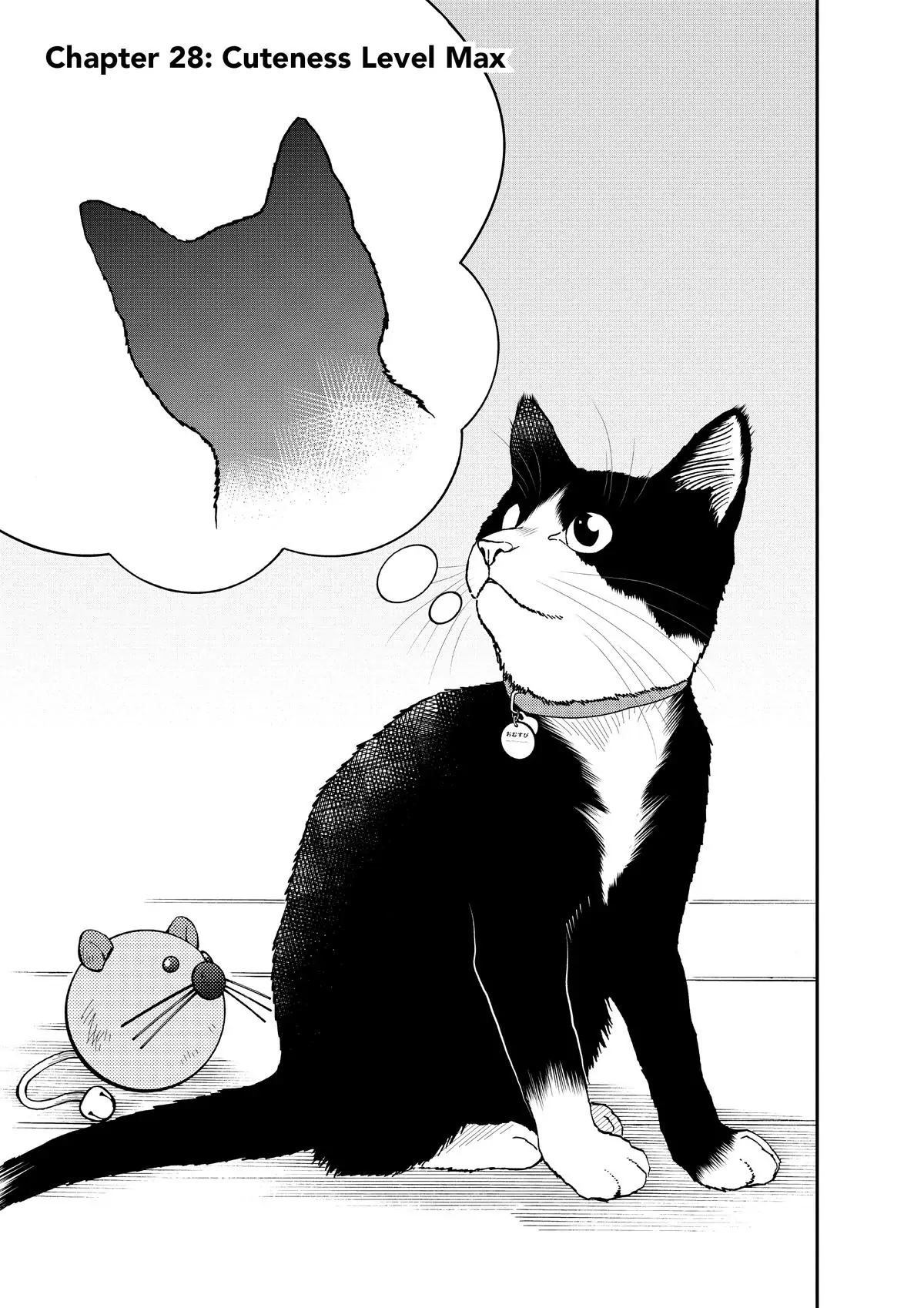 Read Cat + Gamer EN Manga Online
