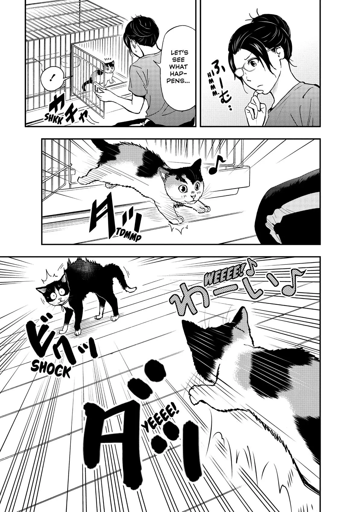 Read Cat + Gamer EN Manga Online