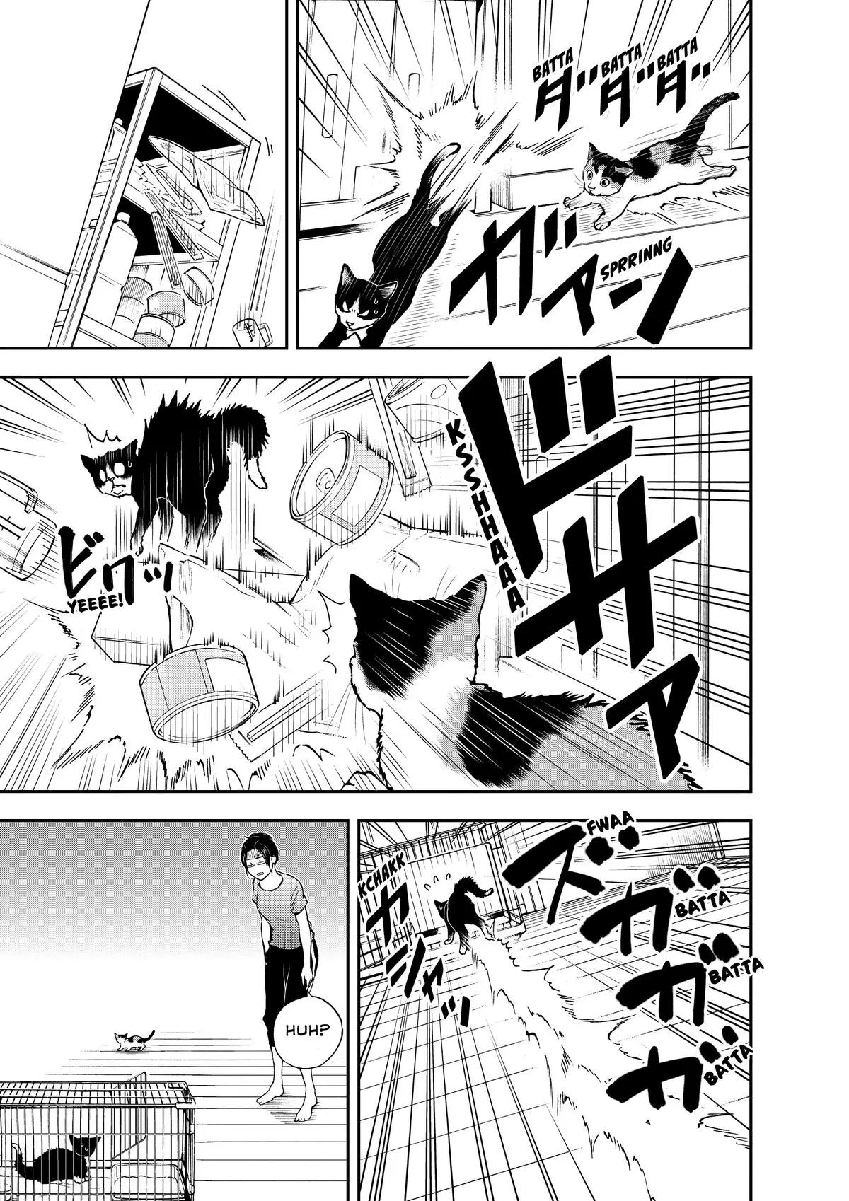 Read Cat + Gamer EN Manga Online