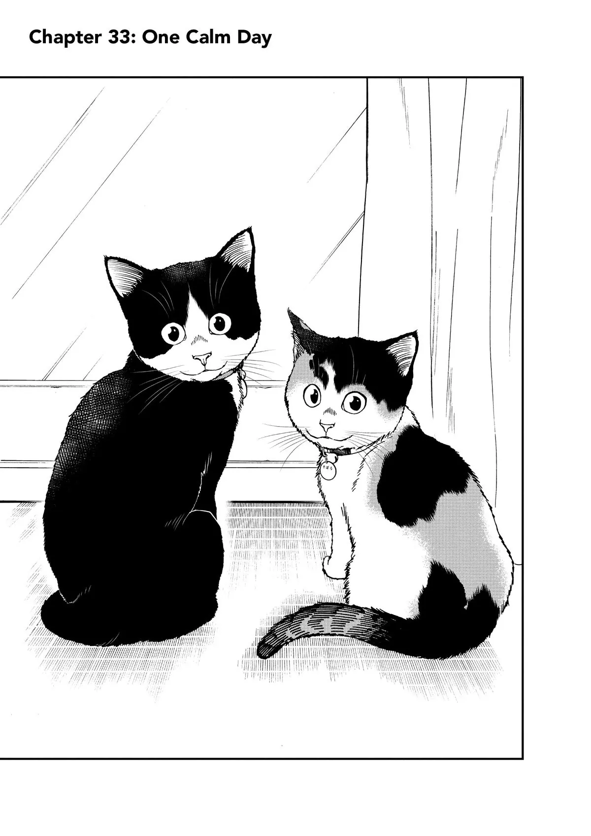 Read Cat + Gamer EN Manga Online