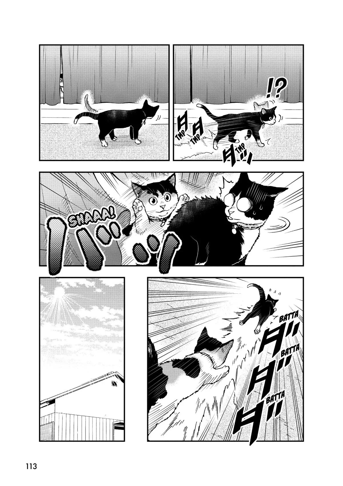 Read Cat + Gamer EN Manga Online