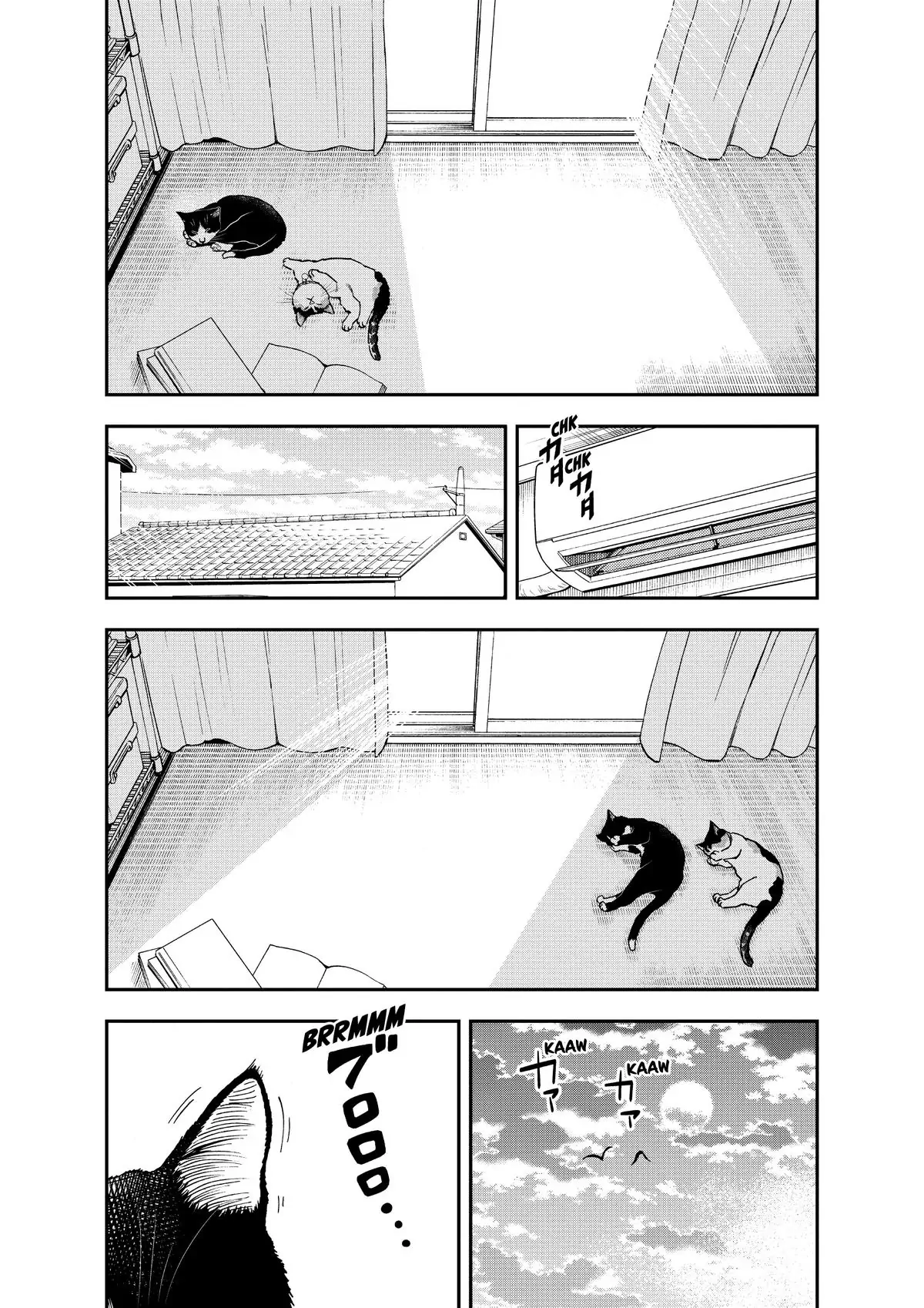 Read Cat + Gamer EN Manga Online