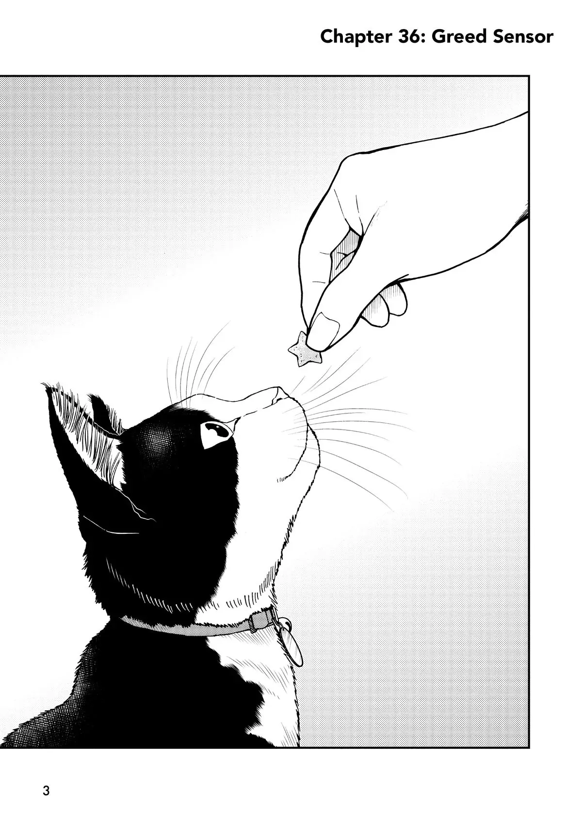 Read Cat + Gamer EN Manga Online