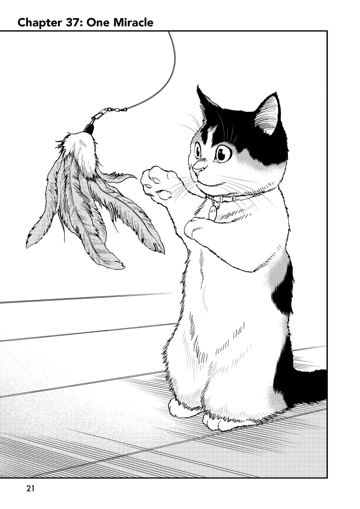 Read Cat + Gamer EN Manga Online