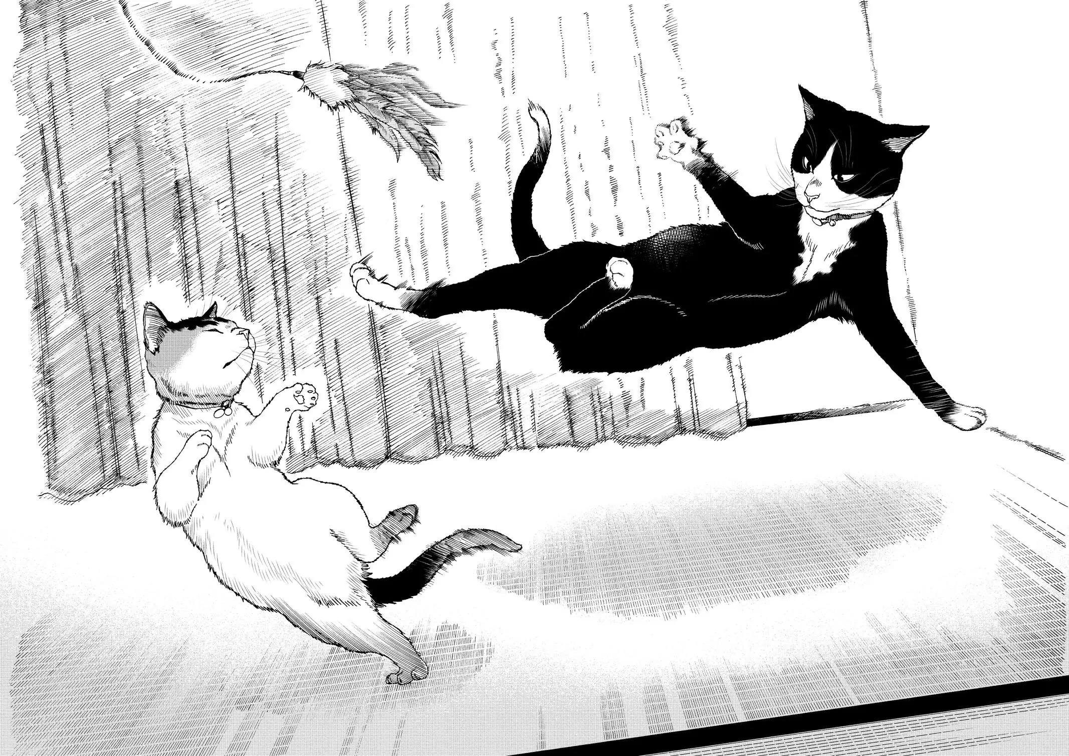 Read Cat + Gamer EN Manga Online
