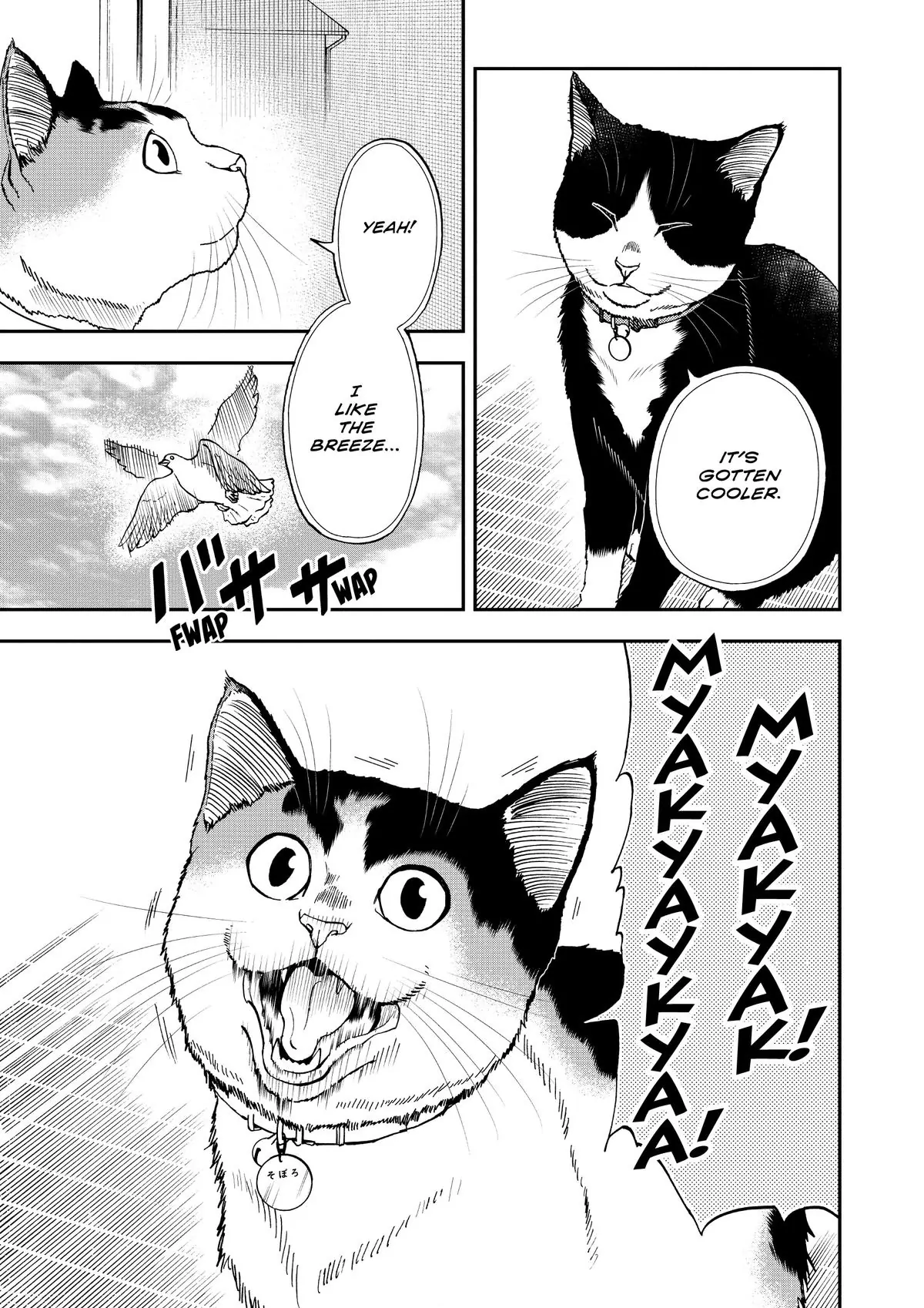 Read Cat + Gamer EN Manga Online