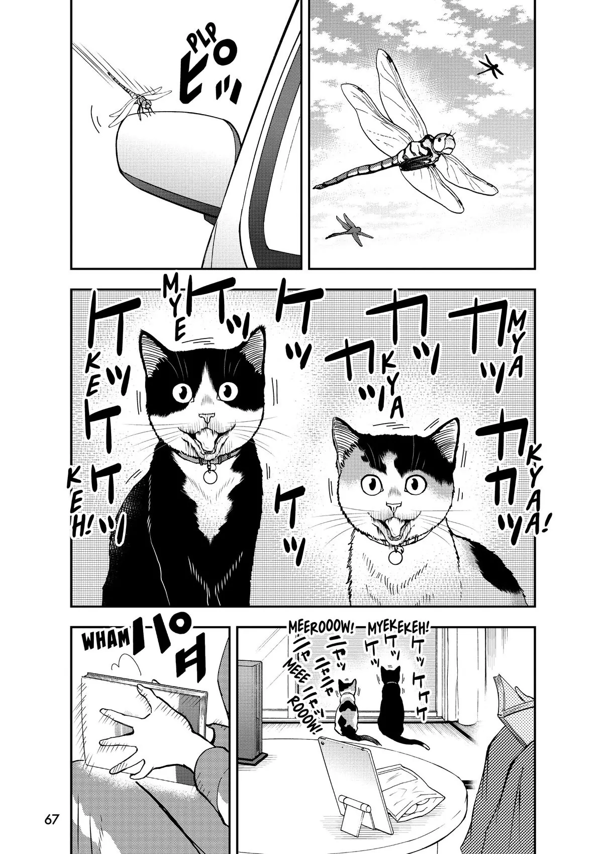 Read Cat + Gamer EN Manga Online