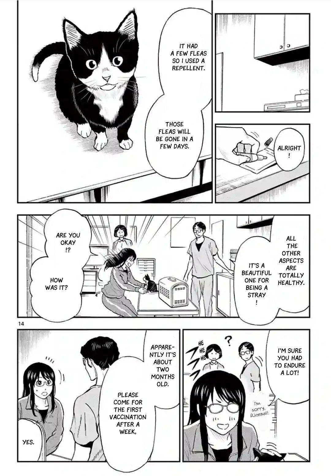 Read Cat + Gamer EN Manga Online