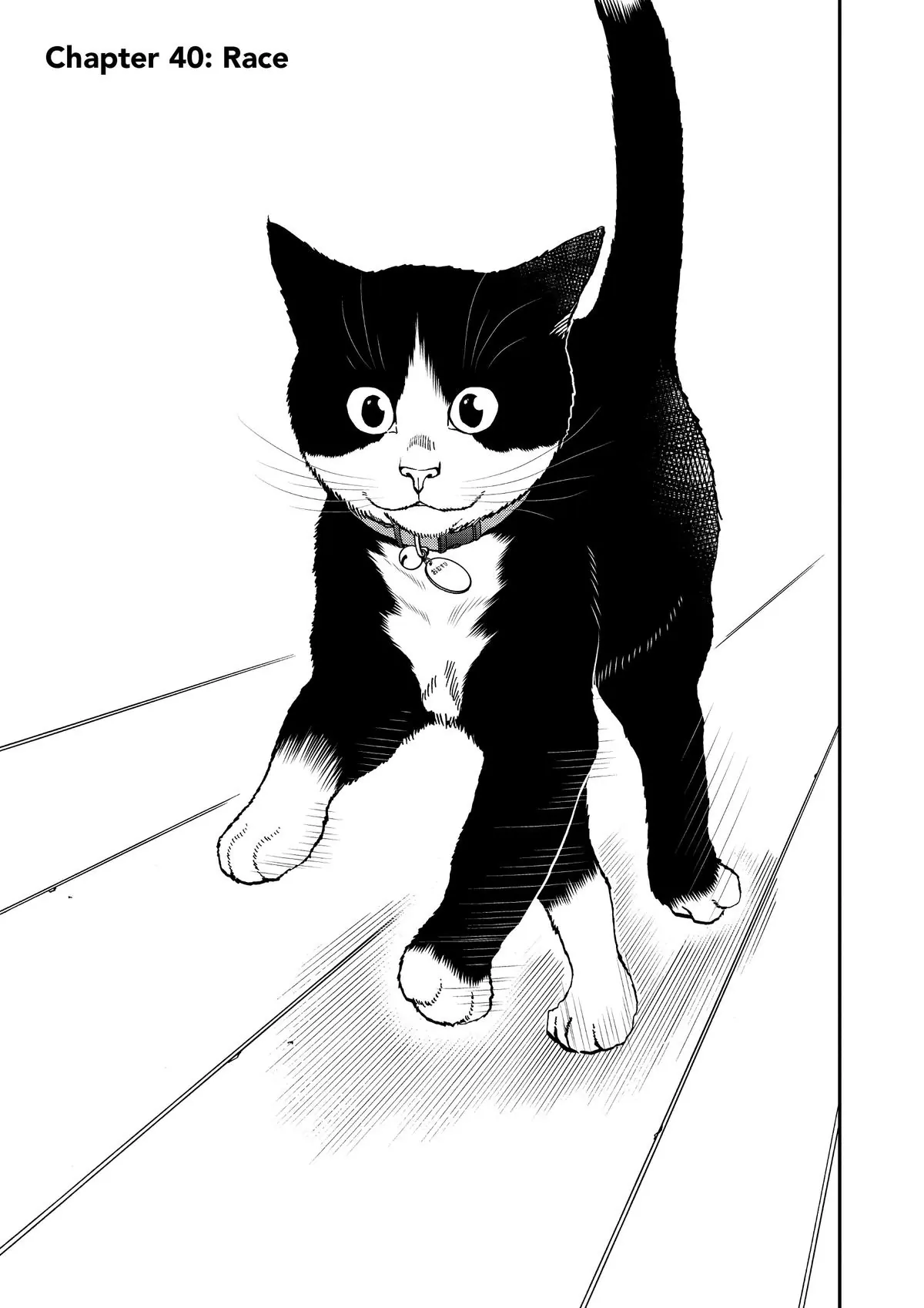 Read Cat + Gamer EN Manga Online
