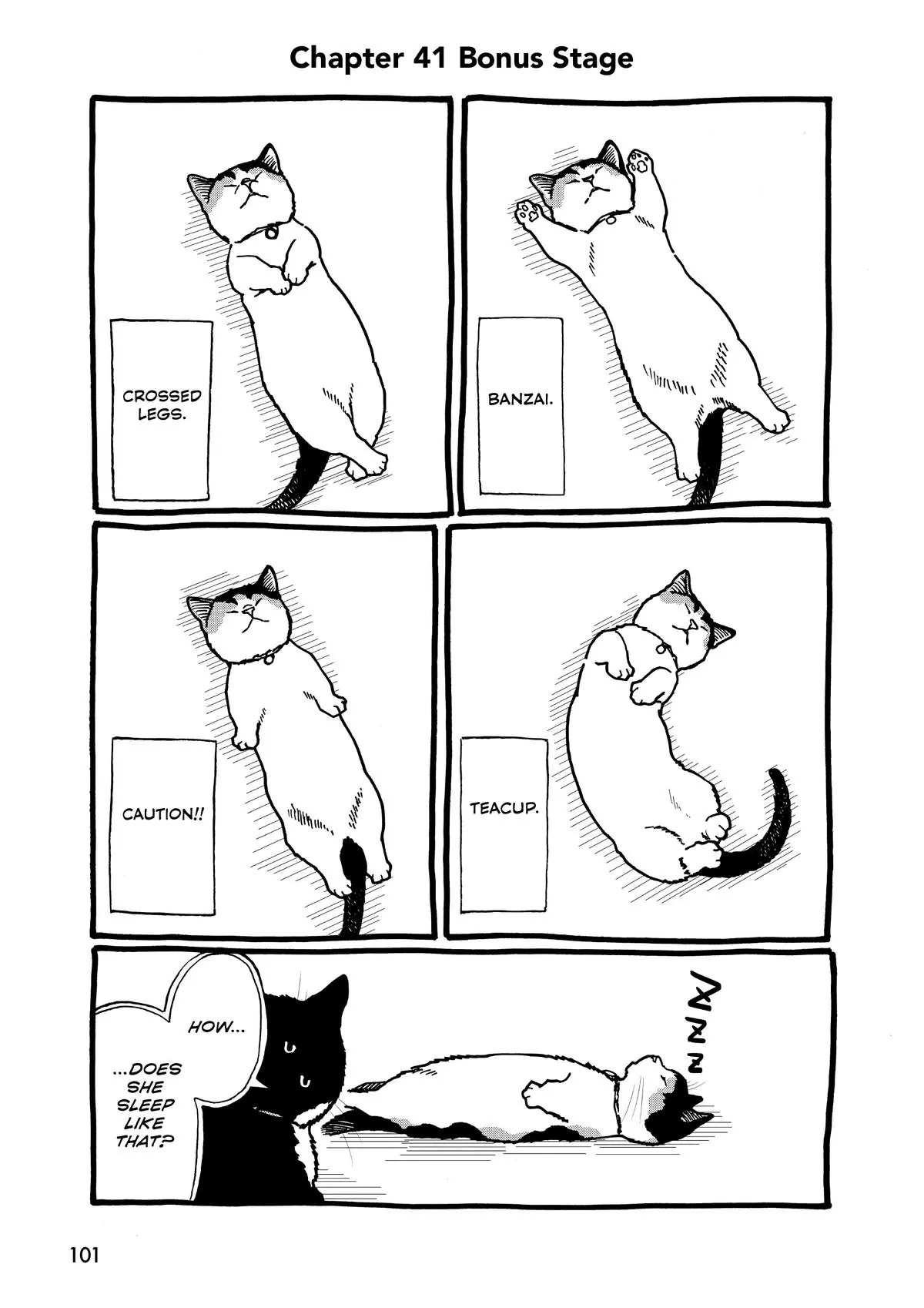 Read Cat + Gamer EN Manga Online
