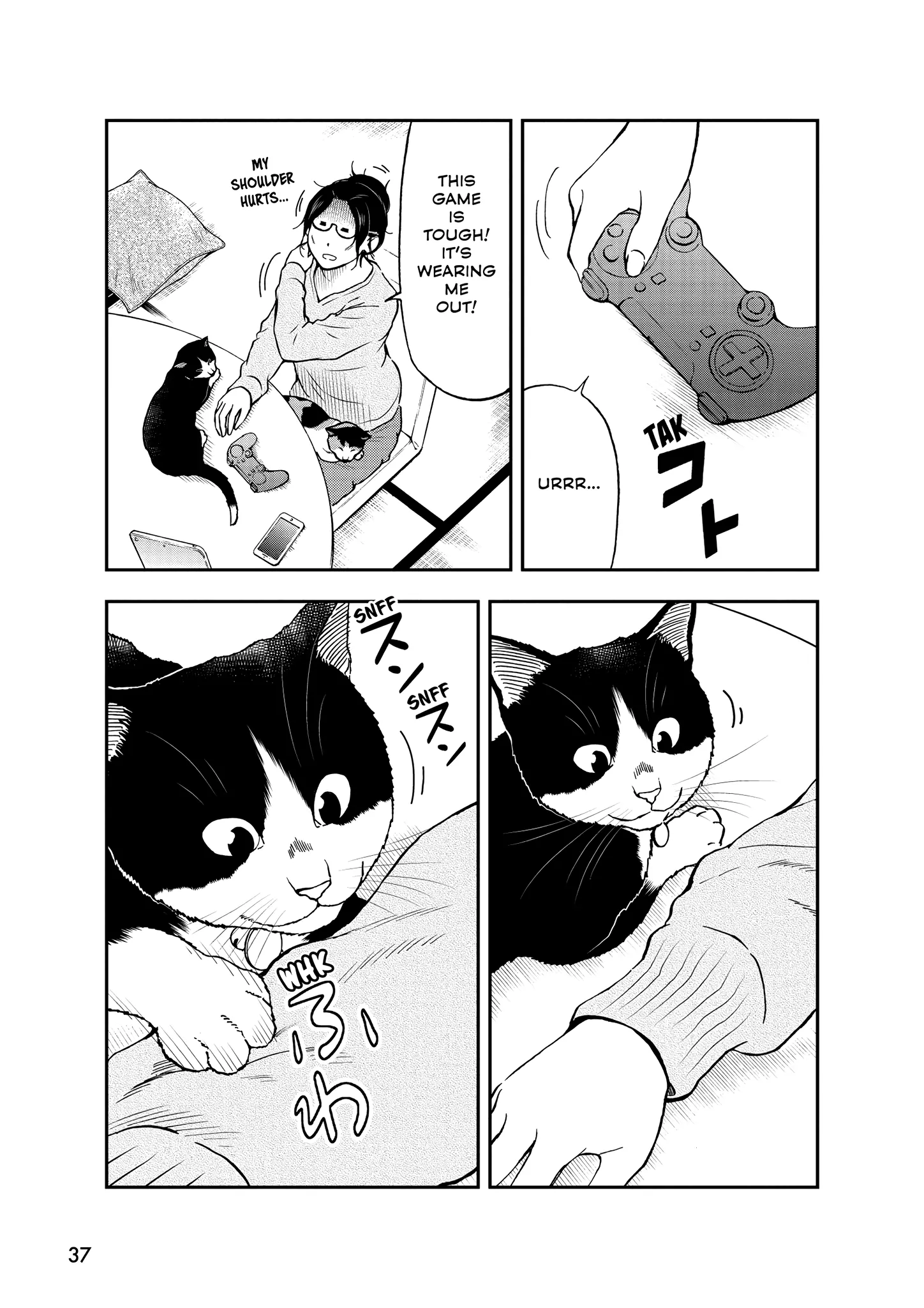 Read Cat + Gamer EN Manga Online