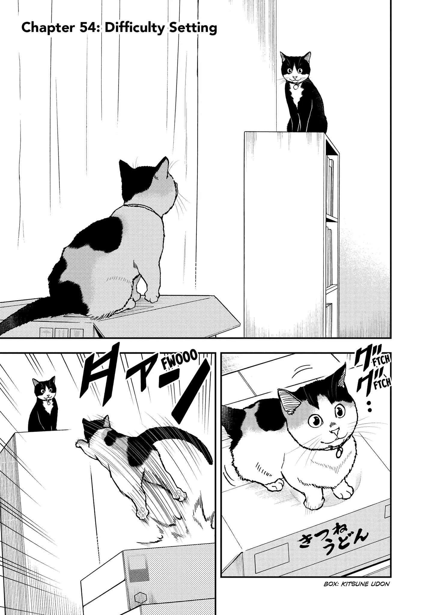 Read Cat + Gamer EN Manga Online