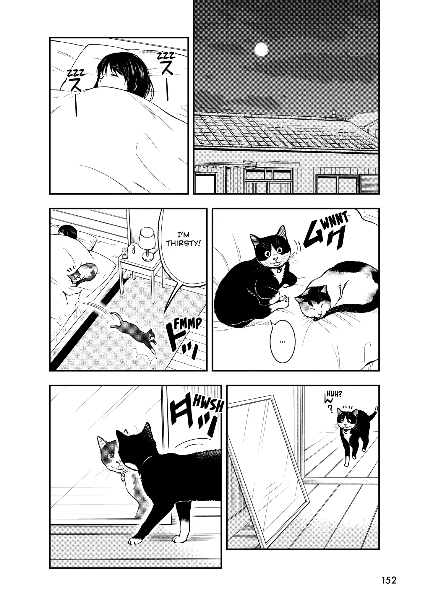 Read Cat + Gamer EN Manga Online