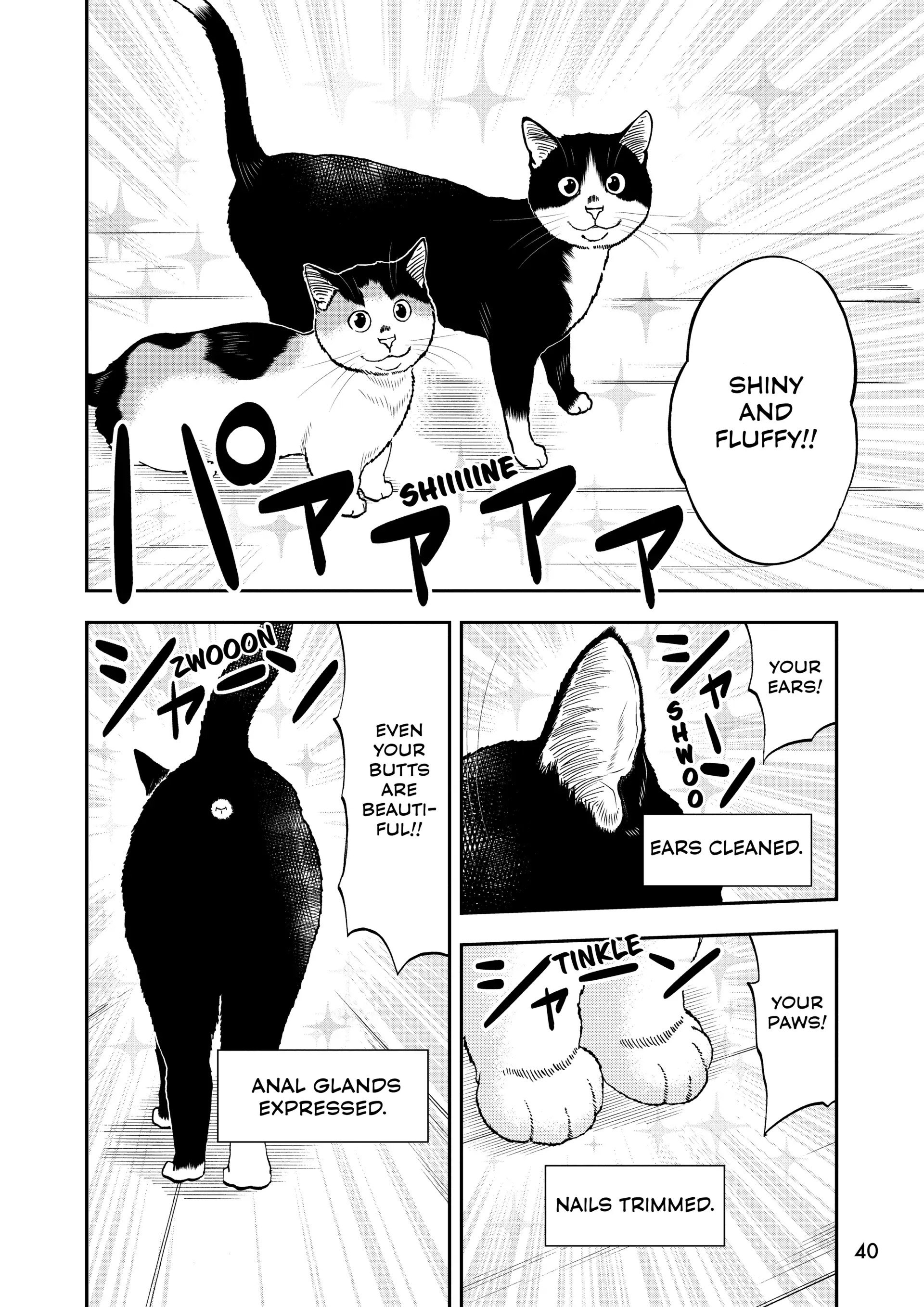 Read Cat + Gamer EN Manga Online