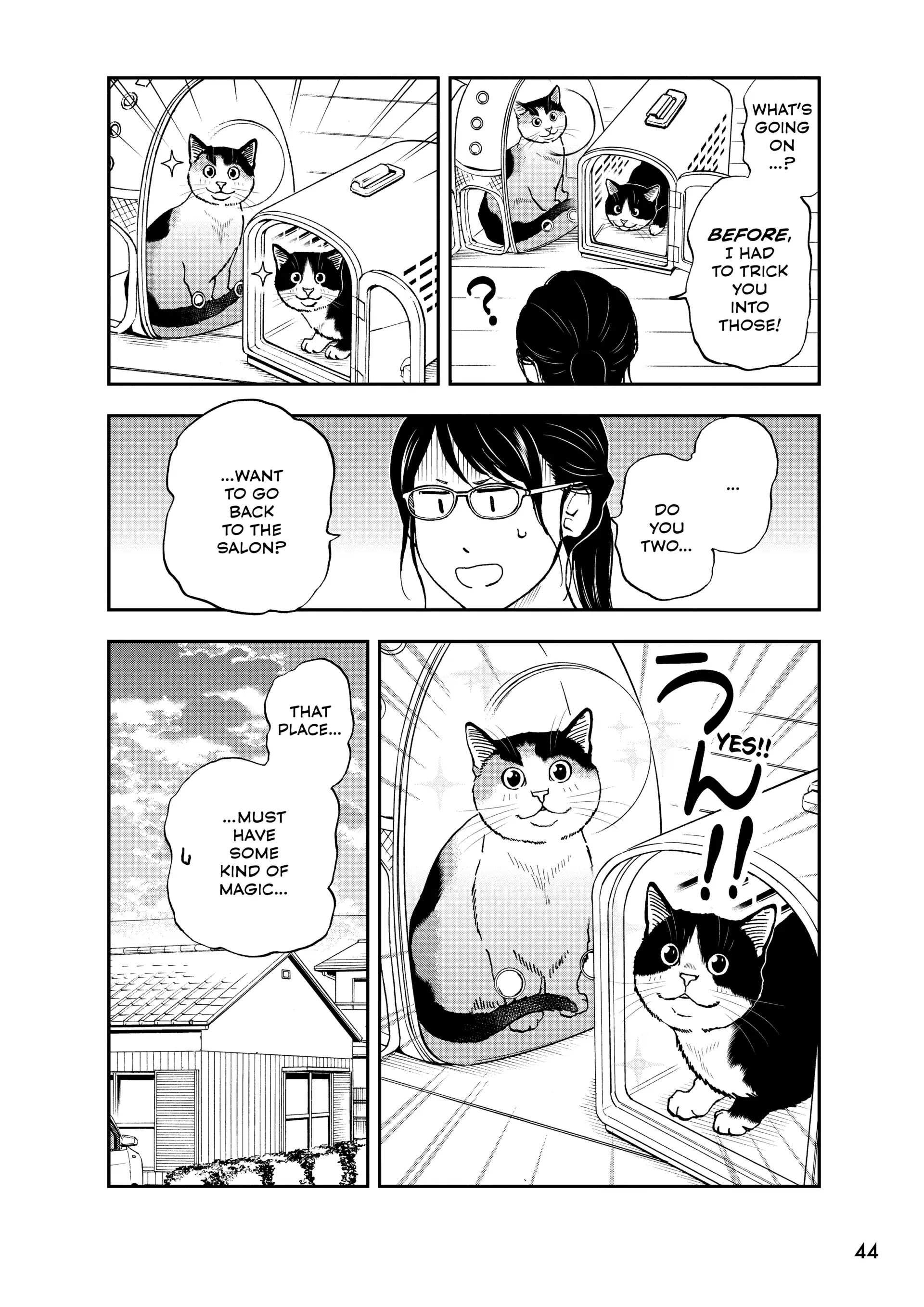 Read Cat + Gamer EN Manga Online