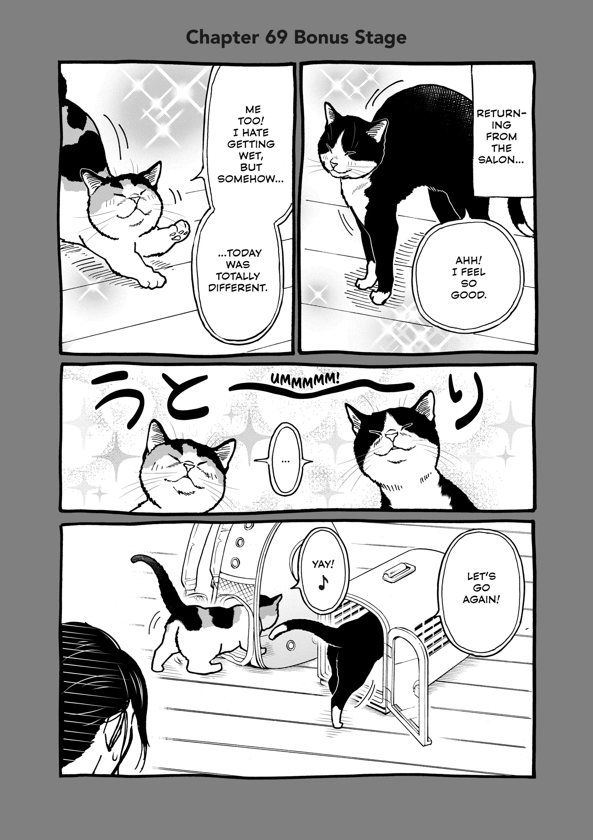 Read Cat + Gamer EN Manga Online