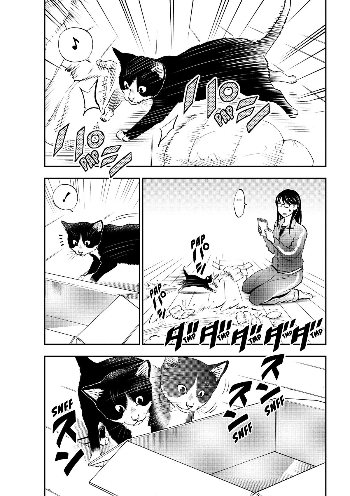 Read Cat + Gamer EN Manga Online