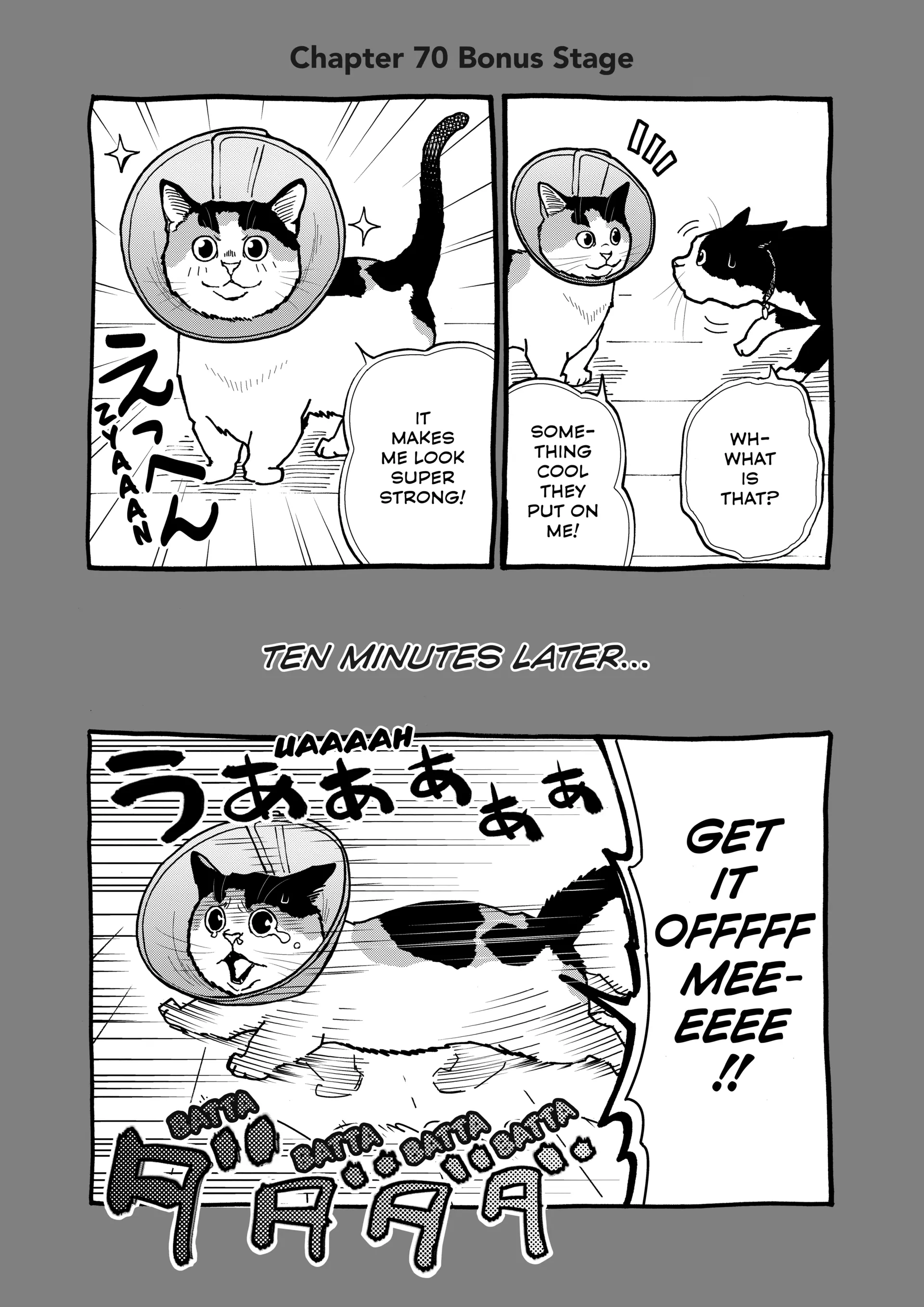 Read Cat + Gamer EN Manga Online