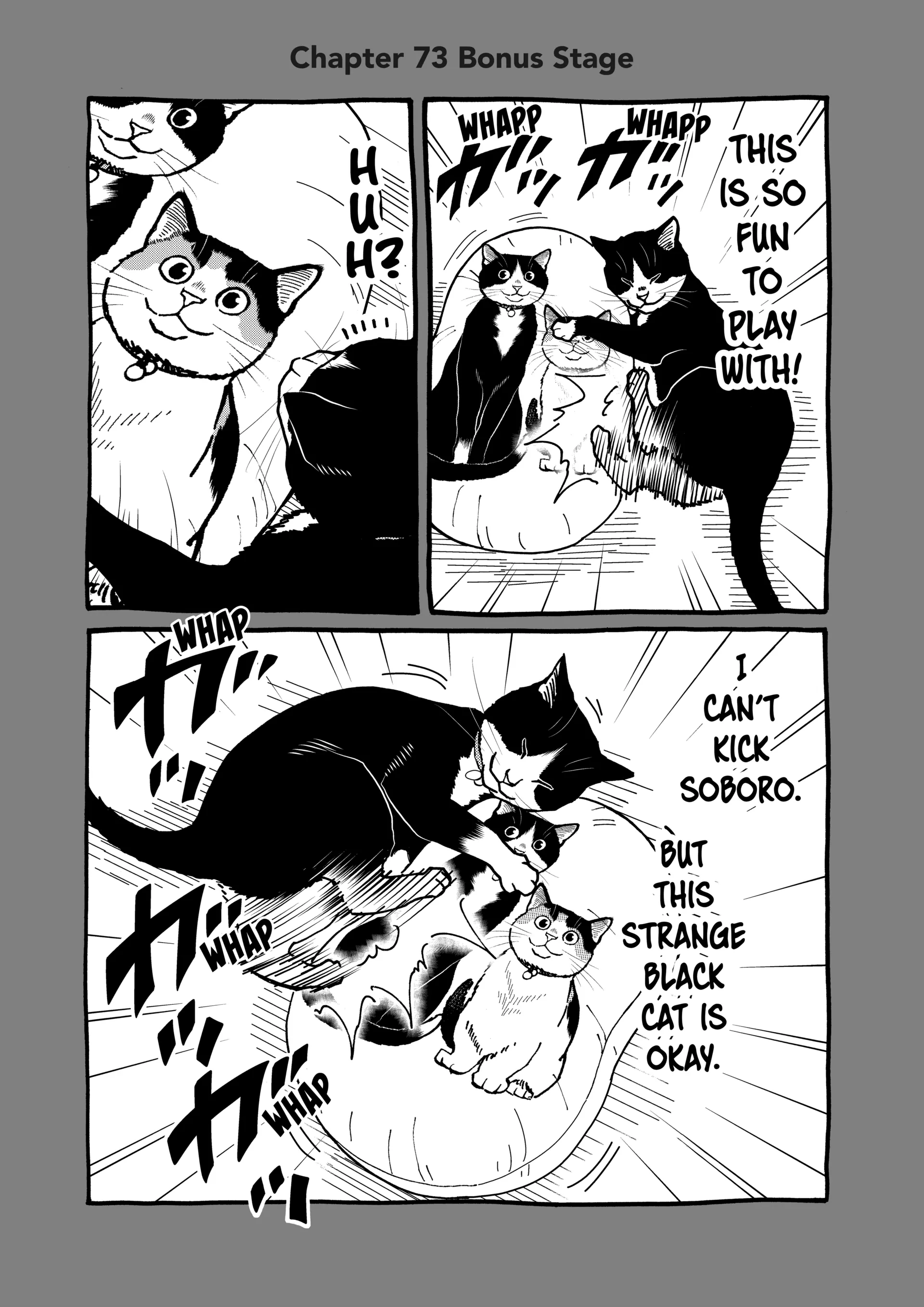Read Cat + Gamer EN Manga Online