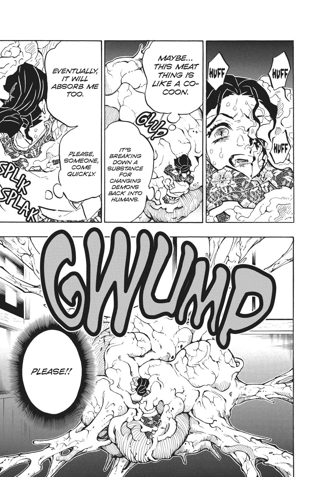 Read Demon Slayer EN Manga Online