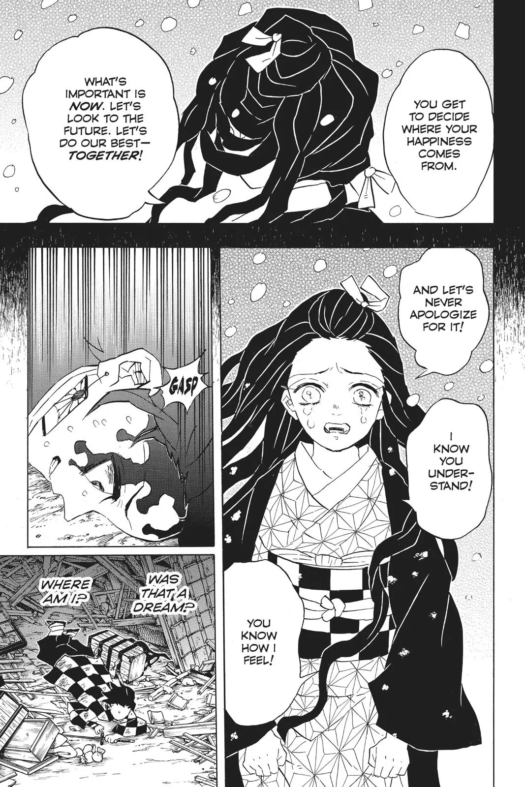 Read Demon Slayer EN Manga Online