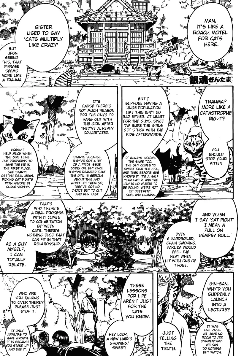 Read Gintama EN Manga Online