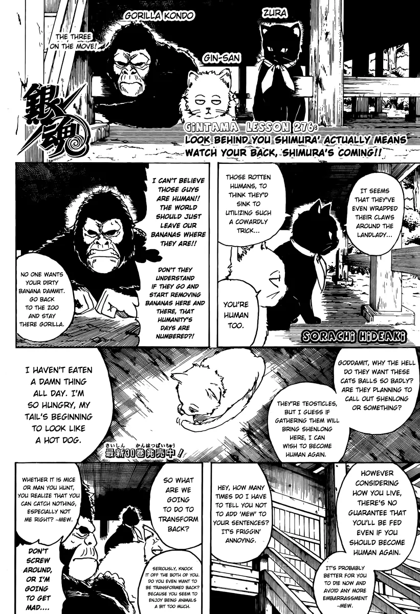 Read Gintama EN Manga Online